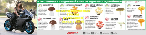 молекула духа Алексин