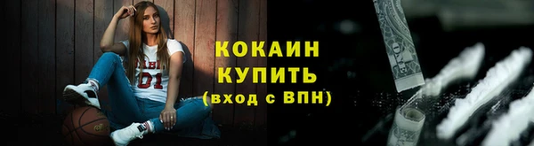 МДПВ Нефтегорск