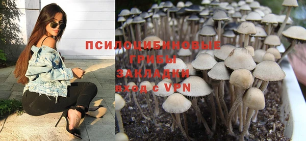 МДПВ Алексеевка
