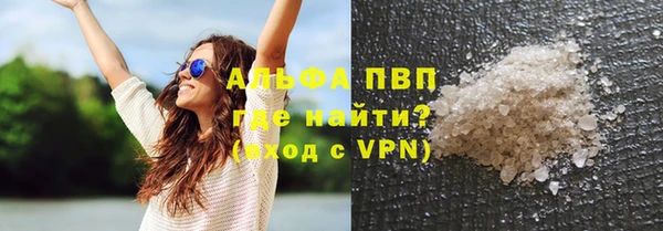 молекула духа Алексин
