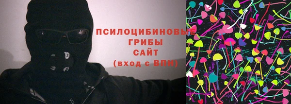 МДПВ Алексеевка