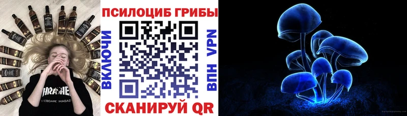 купить наркоту  Пенза  Галлюциногенные грибы MAGIC MUSHROOMS 